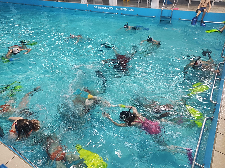 Hokej pod wodą Walenie Siemianowice Śląskie 20 V 2023. Koniec Walenia czyli Amatorska Liga Hokeja Pod Wodą